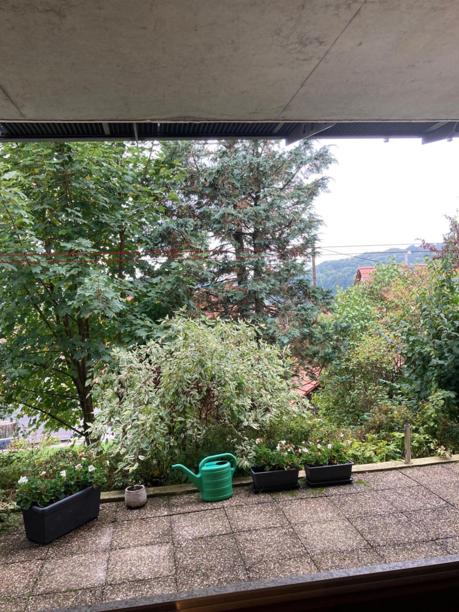 Lichtdurchflutete Ferienwohnung Sankt Johann  Eksteriør bilde